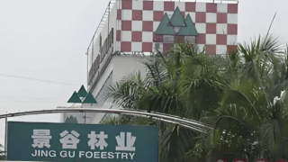 匯銀木業(yè)復(fù)工復(fù)產(chǎn)尚無時(shí)間表 控股股東能否挽救ST景谷業(yè)績(jī)？  
